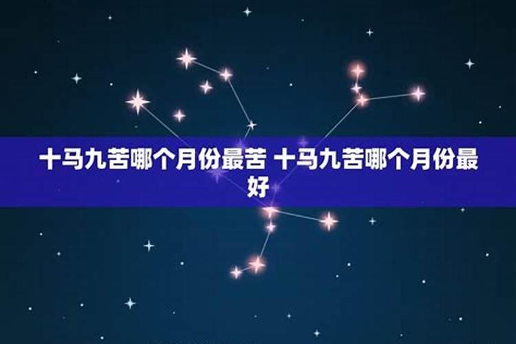 属马的人干什么最挣钱