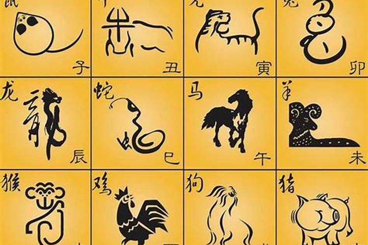 星座互相配对,星座互配对