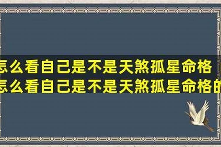 虎女配什么属相最好