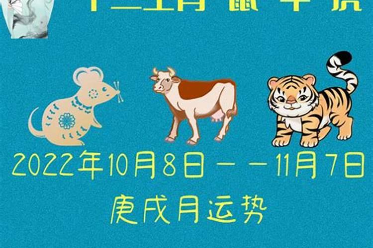 2025属牛人全年12个月运势
