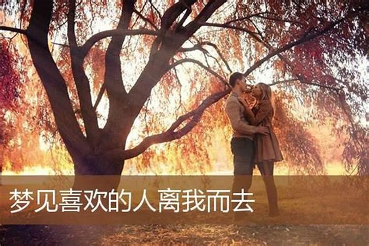 梦见女友离开自己的预兆