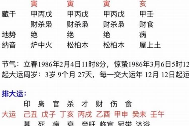 男戊寅年婚配