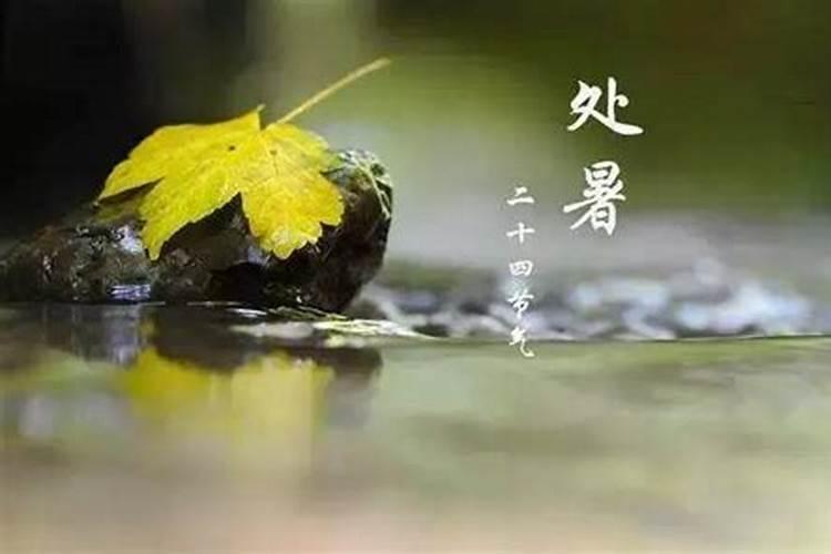佛山的冬天有什么特点