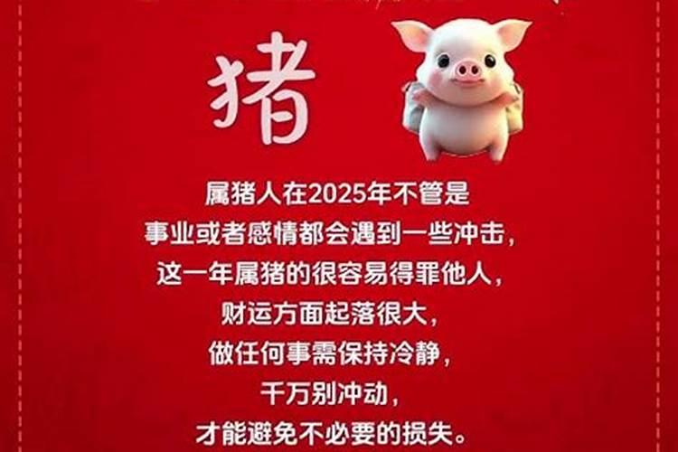 属猪2024年多大岁数了 属猪人2024年全年运势运程