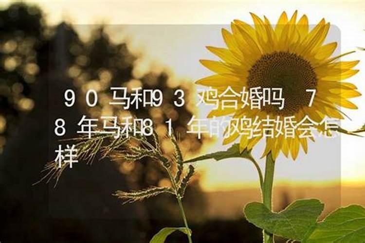结婚是属相重要还是八字重要,合婚要用八字还是用属相