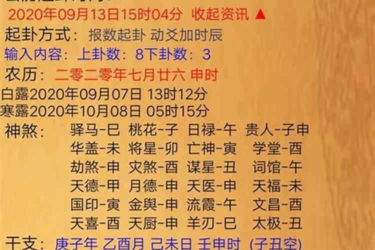 属猪2026运势及运程详解
