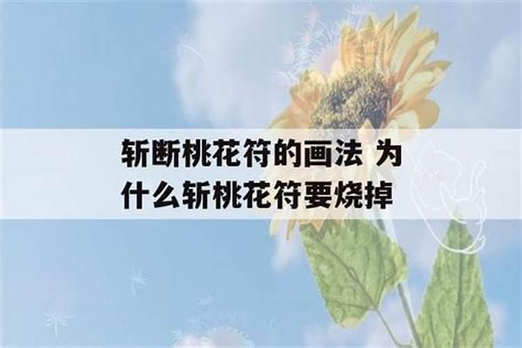82年的狗2025年运势