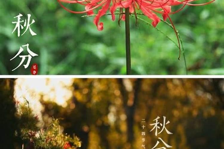 祭日为何选在春分和秋分？