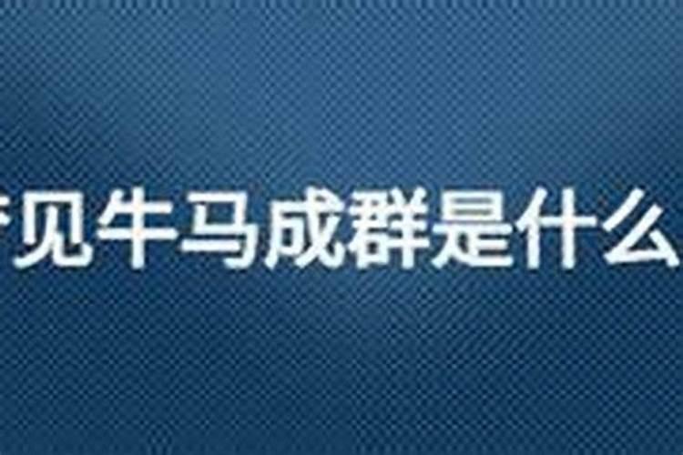 梦见牛马是什么意思
