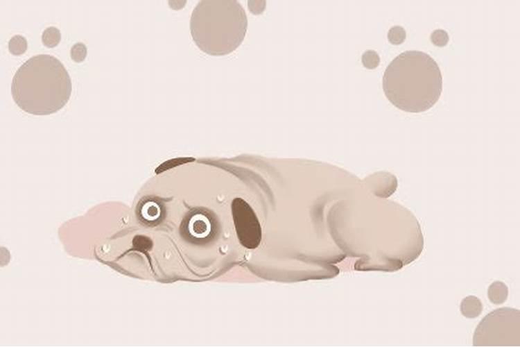 梦到狗狗失而复得预兆