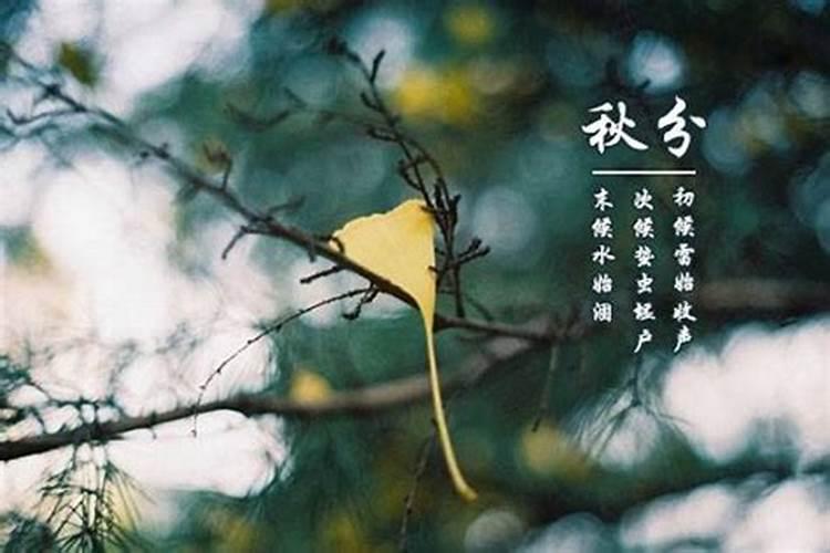 86年虎什么时候转大运