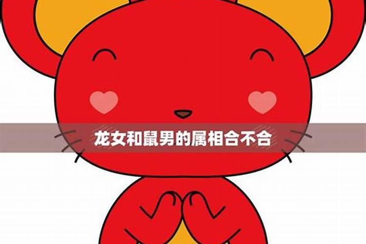 属龙男1976年和属鼠1984年相配吗