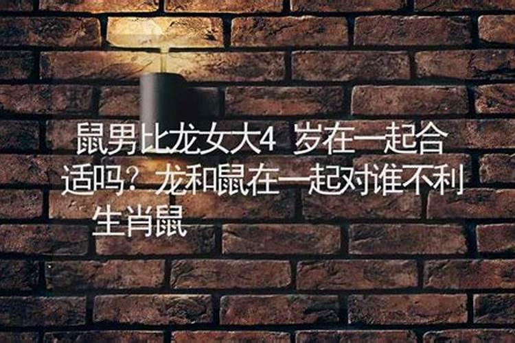 属鼠与属龙的婚姻合吗,男属龙女属鼠婚姻状况