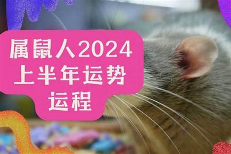 1972属鼠人2025年全年运势运程