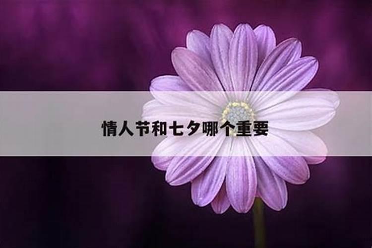 1981属鸡的女人婚姻和命运 81年生肖鸡女晚年享福？