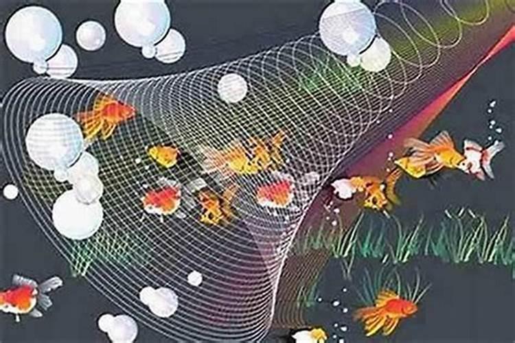 重阳节打一个动物？