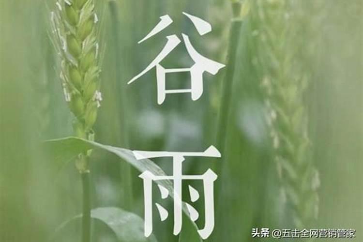梦见别的女人抱着自己老公