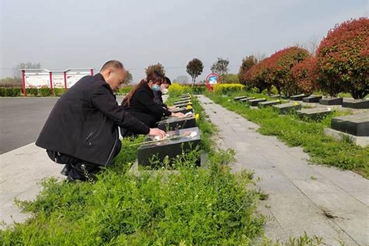 云南什么季节去最好 什么季节去云南旅游最合适