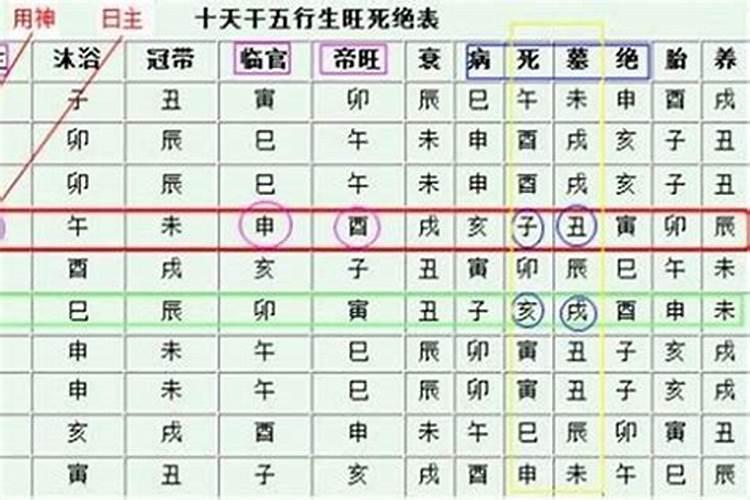 属羊人1955年出生命运,1955属羊人的灾难年龄