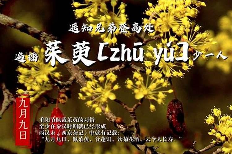 道士做法为什么要收费？
