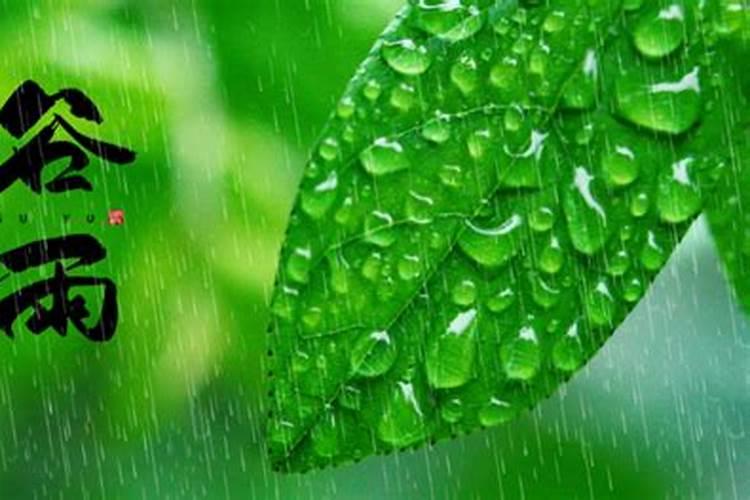 谷雨在前还是清明在前
