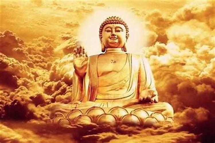 重阳节后夜晚好钓鱼吗