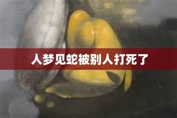 梦见蛇被亲人打死的预兆