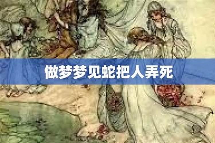 梦见白蛇被亲人所杀的预兆