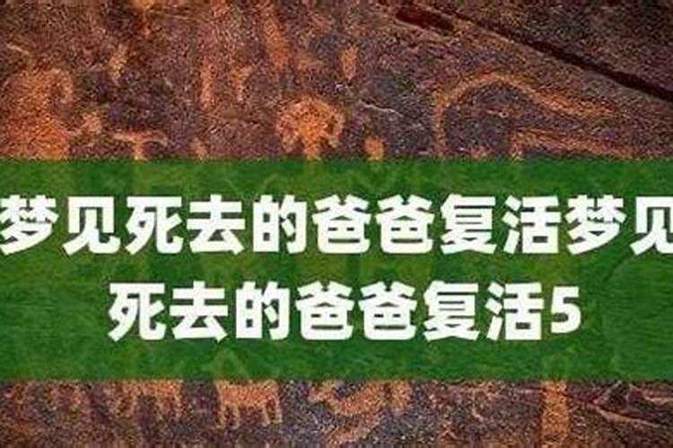 属相土蛇和土龙在一起好不好？
