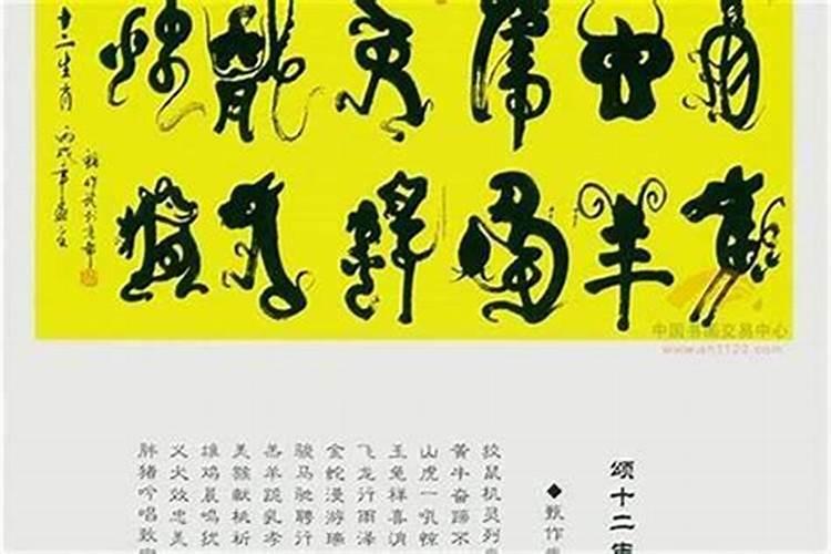中国十大富豪属相