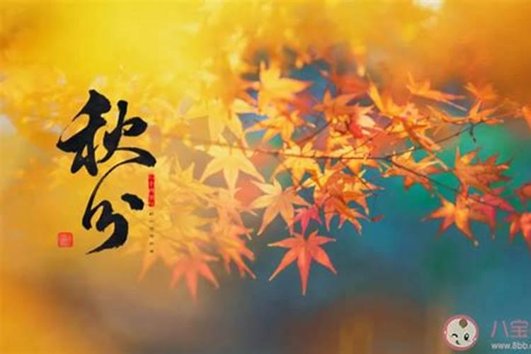 秋分前后,老年人可常吃“3白”,天冷防“3冻”,季节转换身体好百度知...
