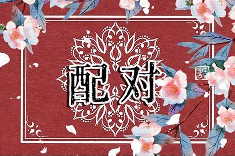 属鸡男人和属蛇女人相配吗