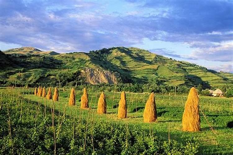如何化解结婚犯太岁,太岁年结婚的化解转运方法简介