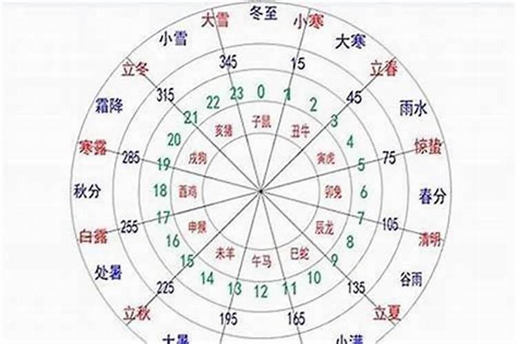 72年鼠的一生