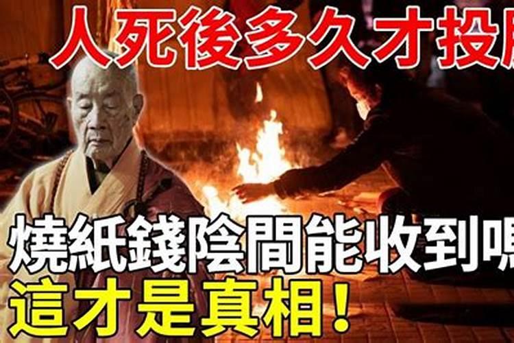 属鸡9月出生什么命运如何
