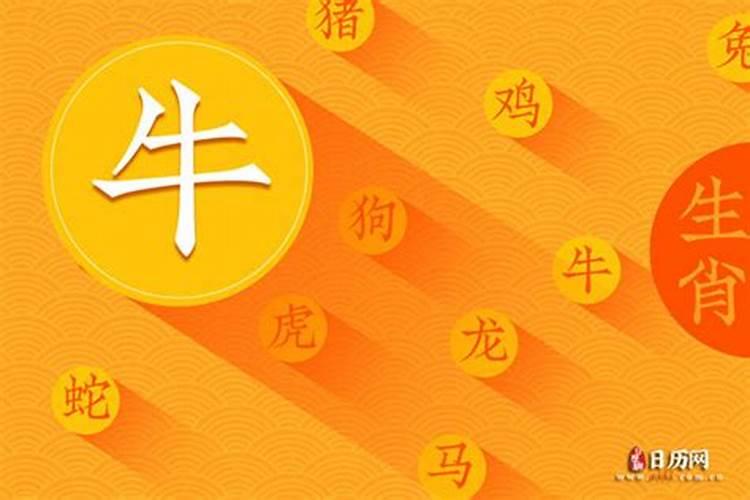 农历9月出生属牛人命好吗
