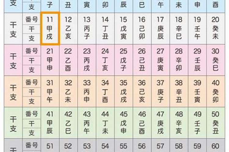 2025年属猪的人的全年运势