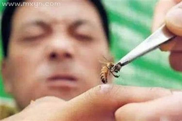 梦见被马蜂蛰了预示什么