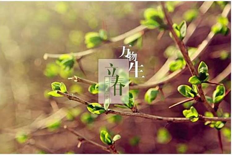 元宵节吃什么汤圆最好