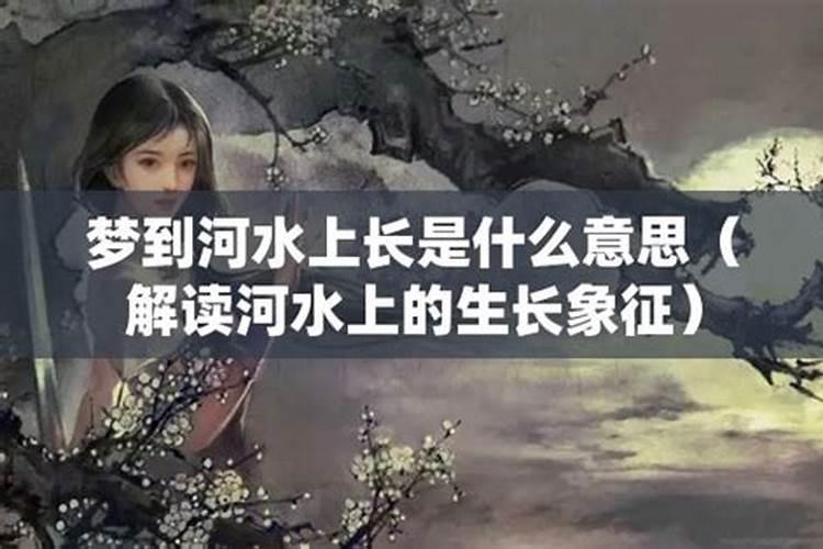 82狗2025年下半年运势