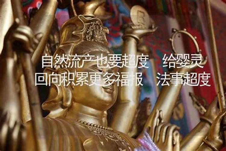 虎生肖十一月份财运如何