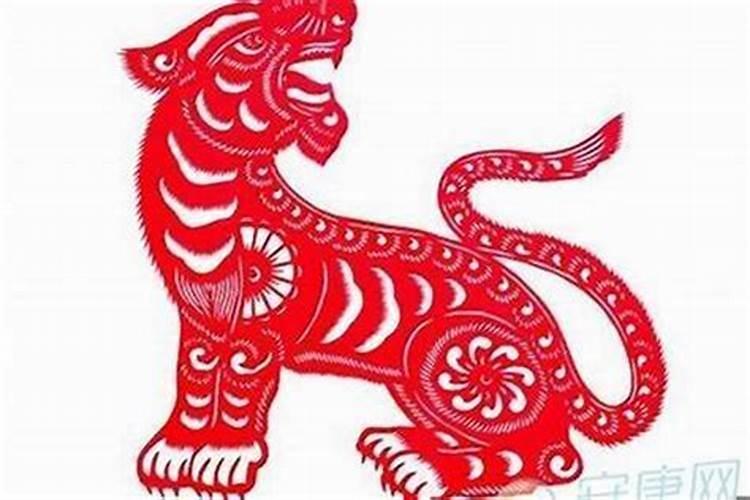 属相虎和什么属相最不合,1998属虎的和什么属相最不配