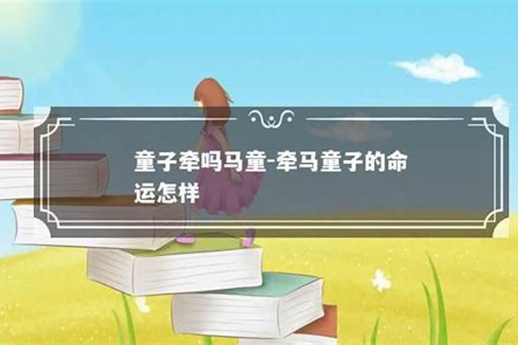 童子命什么意思