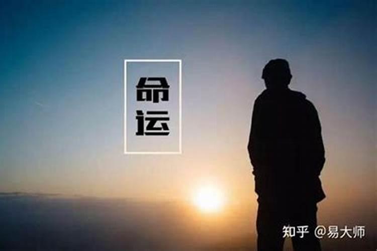 《活法》第五章读后感