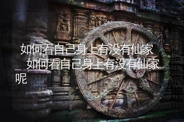 五大仙家的脾气特点 大仙家的脾气特点介绍