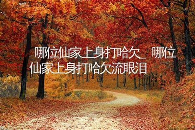 神仙下凡？身上带仙气的人的特点