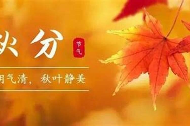 一九九三年阴历十月三日五行属什么