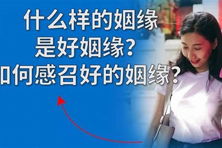 梦见大蟒蛇到处吃人 梦见大蟒蛇到处吃人梦境解析