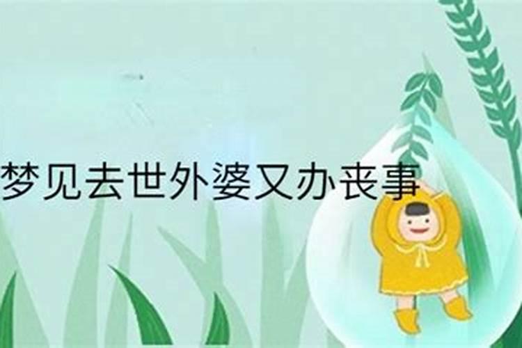 人龙舞二。湛江雷州沈塘人龙舞