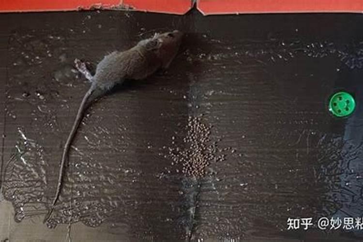 某人说请灵隐寺的师父对我下了咒,说一年之内必有血光之灾,财破人亡...